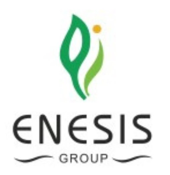 Enesis Group